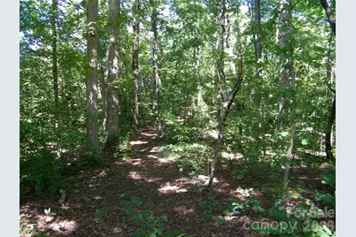 0 Chippewa Trail, China Grove, NC 28023 - Photo 3