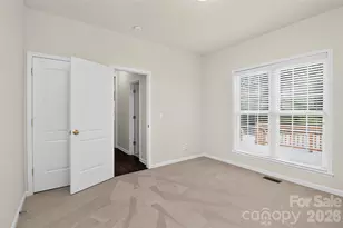 8915 Whittingham Dr, Waxhaw, NC 28173 - Photo 21
