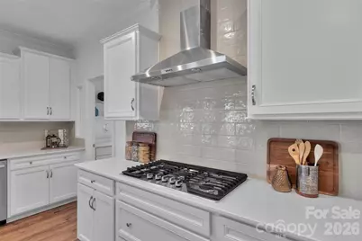 8938 Ansley Park Place, Huntersville, NC 28078 - Photo 21