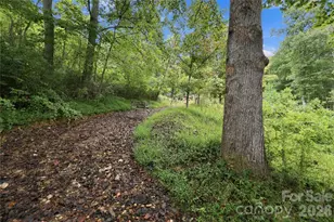 360 Poverty Branch Rd, Barnardsville, NC 28709 - Photo 15