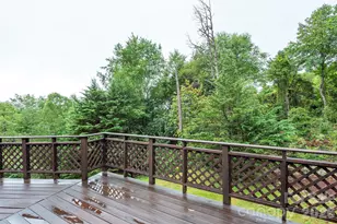 281 Bear Wallow Trl, Leicester, NC 28748 - Photo 29