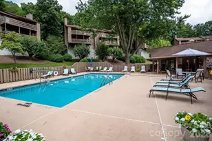 305 Piney Mountain Dr, Asheville, NC 28805 - Photo 17
