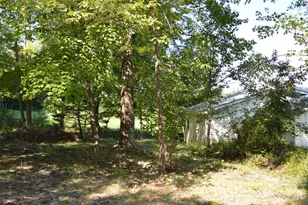 1183 Sandy Plains Rd, Tryon, NC 28782 - Photo 7