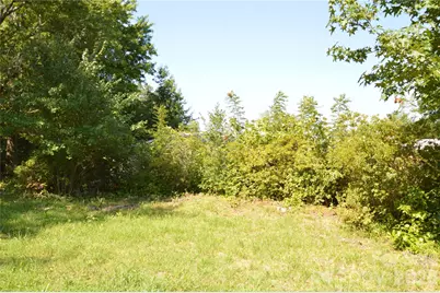 1183 Sandy Plains Road, Tryon, NC 28782 - Photo 15