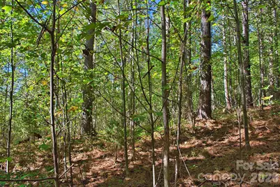 0 Knightsbridge Circle #27, Union Mills, NC 28167 - Photo 3