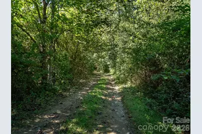 Tbd Old Little Mountain Road, Pisgah Forest, NC 28768 - Photo 11