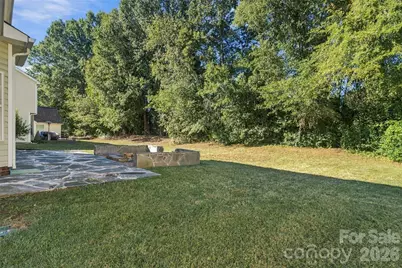 11709 Borchetta Drive, Charlotte, NC 28277 - Photo 39