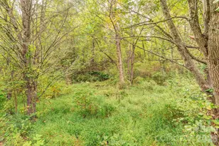 5 Parkway Creek Dr, Asheville, NC 28803 - Photo 43