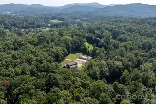 80 Hidden Bluff Ln, Horse Shoe, NC 28742 - Photo 47