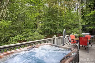 2509 Little River Rd, Hendersonville, NC 28739 - Photo 21