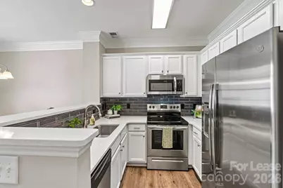 110 Dime Lane, Mooresville, NC 28117 - Photo 13