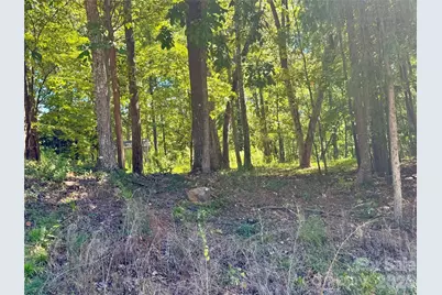 10062 Southwinds Drive, Indian Land, SC 29707 - Photo 3
