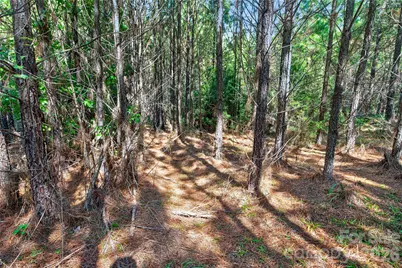0000 Narrow Bridge Road #1, Chester, SC 29706 - Photo 15