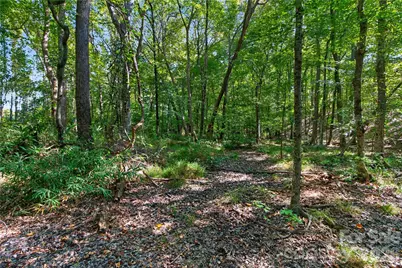 0000 Narrow Bridge Road #1, Chester, SC 29706 - Photo 19