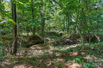 0000 Narrow Bridge Road #1, Chester, SC 29706 - Photo 17