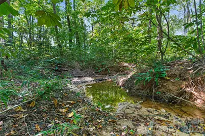 0000 Narrow Bridge Road #1, Chester, SC 29706 - Photo 3