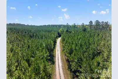 0000 Narrow Bridge Road #1, Chester, SC 29706 - Photo 7