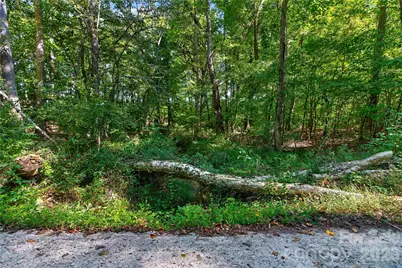 0000 Narrow Bridge Road #1, Chester, SC 29706 - Photo 25
