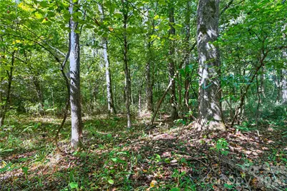 0000 Narrow Bridge Road #1, Chester, SC 29706 - Photo 21