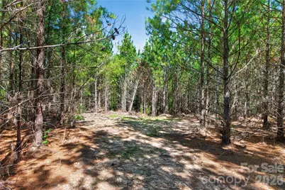 0000 Narrow Bridge Road #1, Chester, SC 29706 - Photo 13