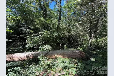 99999 Roebling Circle #39, Asheville, NC 28803 - Photo 3