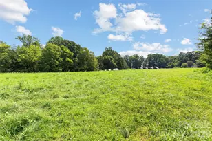 0 801 Hwy, Mount Ulla, NC 28125 - Photo 13