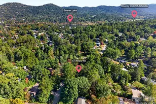 14 Willow Rd, Asheville, NC 28804 - Photo 31