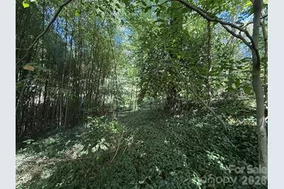 99999 Roebling Circle #37, Asheville, NC 28803 - Photo 13