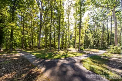 9999 Sherwood Drive S, Flat Rock, NC 28731 - Photo 7