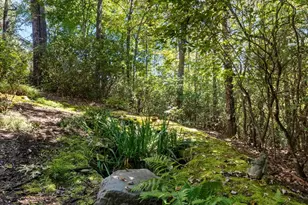44 Sunset Trce, Brevard, NC 28712 - Photo 39