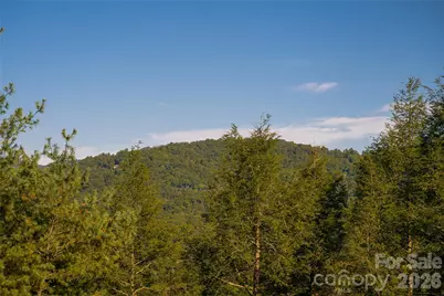 79 Horizon Hill Road, Asheville, NC 28804 - Photo 37