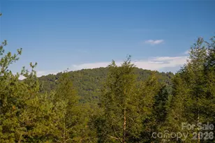 79 Horizon Hill Rd, Asheville, NC 28804 - Photo 37
