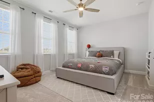 1001 Vettura Ct, Waxhaw, NC 28173 - Photo 29
