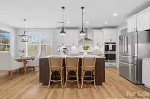 1001 Vettura Ct, Waxhaw, NC 28173 - Photo 13