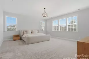 1001 Vettura Ct, Waxhaw, NC 28173 - Photo 33