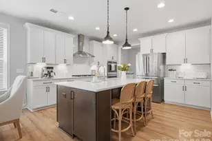 1001 Vettura Ct, Waxhaw, NC 28173 - Photo 11