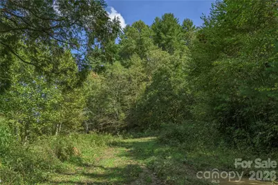 10281 White Oak Road, Waynesville, NC 28785 - Photo 7