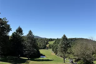144 Mitchell Gorge None, Roaring Gap, NC 28668 - Photo 39