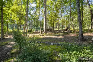 271 Anne St, Rutherfordton, NC 28139 - Photo 43