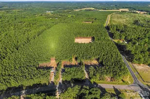 865 Windblow Rd, Jackson Springs, NC 27281 - Photo 21