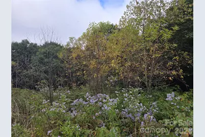 99999 Eagle Bald Trail, Burnsville, NC 28714 - Photo 7