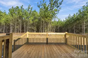 869 Windblow Rd, Jackson Springs, NC 27281 - Photo 25