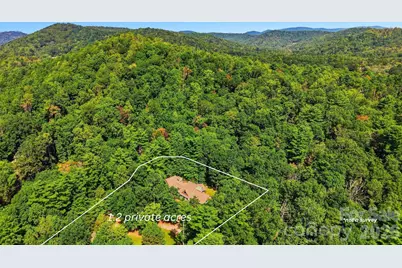 450 Mills Gap Road, Arden, NC 28704 - Photo 45