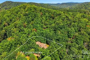 450 Mills Gap Rd, Arden, NC 28704 - Photo 45
