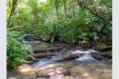 158 Bucks Crossing, Brevard, NC 28712 - Photo 3