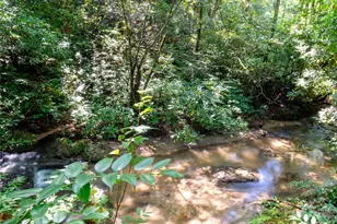 158 Buck's Crossing, Brevard, NC 28712 - Photo 41