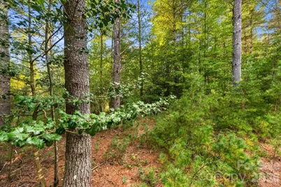 60 Kingfisher Terrace #107, Nebo, NC 28761 - Photo 3