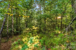 60 Kingfisher Terrace, Nebo, NC 28761 - Photo 1
