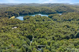 15 W Moytoy Ln, Brevard, NC 28712 - Photo 43