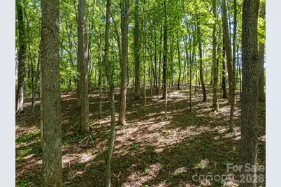 644 Walnut Valley Parkway, Arden, NC 28704 - Photo 41